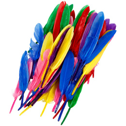 Plumes paquet de 48 dans le groupe Loisirs créatifs / Fêtes et saisons / Bricolage de Pâques chez Pen Store (136985)