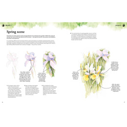 Learn to Draw in an Hour a Day dans le groupe Loisirs créatifs / Livres / Livres d'instruction chez Pen Store (137176)