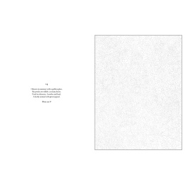 Mystery Coloring Flowers dans le groupe Loisirs créatifs / Livres / Album de coloriage pour les adultes chez Pen Store (137180)