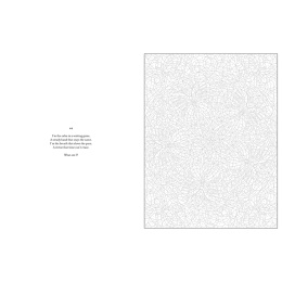 Mystery Coloring Mandalas dans le groupe Loisirs créatifs / Livres / Album de coloriage pour les adultes chez Pen Store (137182)