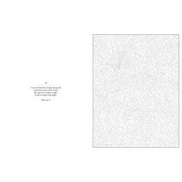 Mystery Coloring Wild Animals dans le groupe Loisirs créatifs / Livres / Album de coloriage pour les adultes chez Pen Store (137183)