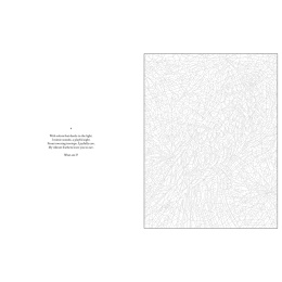 Mystery Coloring Wild Animals dans le groupe Loisirs créatifs / Livres / Album de coloriage pour les adultes chez Pen Store (137183)