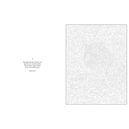 Mystery Coloring Wild Animals dans le groupe Loisirs créatifs / Livres / Album de coloriage pour les adultes chez Pen Store (137183)