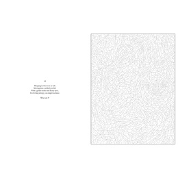 Mystery Coloring Wild Animals dans le groupe Loisirs créatifs / Livres / Album de coloriage pour les adultes chez Pen Store (137183)