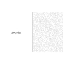 Mystery Coloring Wild Animals dans le groupe Loisirs créatifs / Livres / Album de coloriage pour les adultes chez Pen Store (137183)