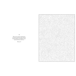 Mystery Coloring Wild Animals dans le groupe Loisirs créatifs / Livres / Album de coloriage pour les adultes chez Pen Store (137183)