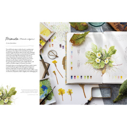 Sketching Nature dans le groupe Loisirs créatifs / Livres / Livres d'instruction chez Pen Store (137184)