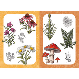 10 Step Drawing: Botanicals dans le groupe Loisirs créatifs / Livres / Livres d'instruction chez Pen Store (137196)