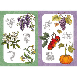 10 Step Drawing: Botanicals dans le groupe Loisirs créatifs / Livres / Livres d'instruction chez Pen Store (137196)