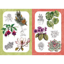 10 Step Drawing: Botanicals dans le groupe Loisirs créatifs / Livres / Livres d'instruction chez Pen Store (137196)
