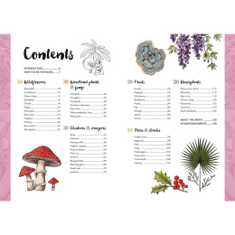 10 Step Drawing: Botanicals dans le groupe Loisirs créatifs / Livres / Livres d'instruction chez Pen Store (137196)