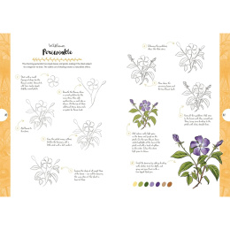 10 Step Drawing: Botanicals dans le groupe Loisirs créatifs / Livres / Livres d'instruction chez Pen Store (137196)