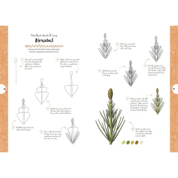10 Step Drawing: Botanicals dans le groupe Loisirs créatifs / Livres / Livres d'instruction chez Pen Store (137196)