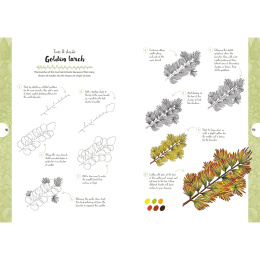 10 Step Drawing: Botanicals dans le groupe Loisirs créatifs / Livres / Livres d'instruction chez Pen Store (137196)
