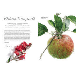 Anna Mason's Watercolour World dans le groupe Loisirs créatifs / Livres / Livres pour inspiration chez Pen Store (137202)