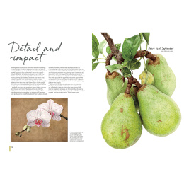 Anna Mason's Watercolour World dans le groupe Loisirs créatifs / Livres / Livres pour inspiration chez Pen Store (137202)