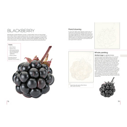 Anna Mason's Watercolour World dans le groupe Loisirs créatifs / Livres / Livres pour inspiration chez Pen Store (137202)