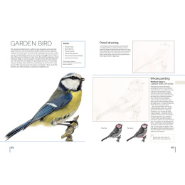 Anna Mason's Watercolour World dans le groupe Loisirs créatifs / Livres / Livres pour inspiration chez Pen Store (137202)