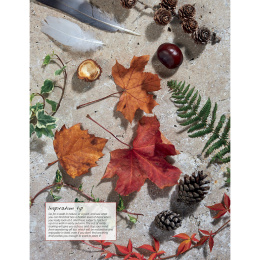 Anna Mason's Watercolour World dans le groupe Loisirs créatifs / Livres / Livres pour inspiration chez Pen Store (137202)