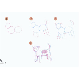 Draw 30: Animals dans le groupe Loisirs créatifs / Livres / Livres d'instruction chez Pen Store (137210)