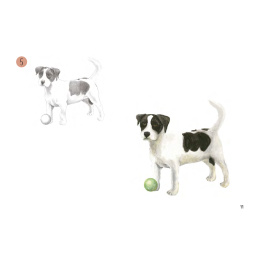 Draw 30: Animals dans le groupe Loisirs créatifs / Livres / Livres d'instruction chez Pen Store (137210)