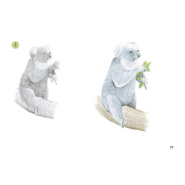 Draw 30: Animals dans le groupe Loisirs créatifs / Livres / Livres d'instruction chez Pen Store (137210)