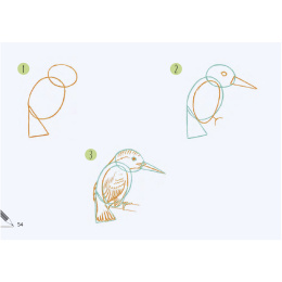 Draw 30: Animals dans le groupe Loisirs créatifs / Livres / Livres d'instruction chez Pen Store (137210)