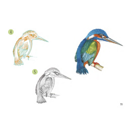 Draw 30: Animals dans le groupe Loisirs créatifs / Livres / Livres d'instruction chez Pen Store (137210)