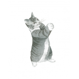 Draw 30: Cats dans le groupe Loisirs créatifs / Livres / Livres d'instruction chez Pen Store (137211)