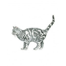 Draw 30: Cats dans le groupe Loisirs créatifs / Livres / Livres d'instruction chez Pen Store (137211)