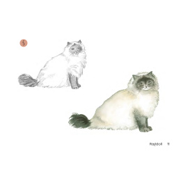 Draw 30: Cats dans le groupe Loisirs créatifs / Livres / Livres d'instruction chez Pen Store (137211)
