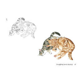 Draw 30: Cats dans le groupe Loisirs créatifs / Livres / Livres d'instruction chez Pen Store (137211)