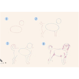 Draw 30: Dogs dans le groupe Loisirs créatifs / Livres / Livres d'instruction chez Pen Store (137213)