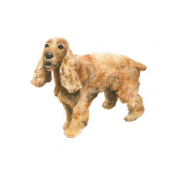 Draw 30: Dogs dans le groupe Loisirs créatifs / Livres / Livres d'instruction chez Pen Store (137213)