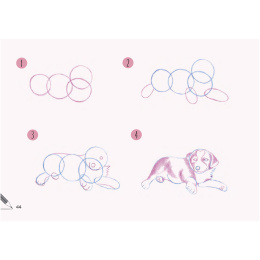 Draw 30: Dogs dans le groupe Loisirs créatifs / Livres / Livres d'instruction chez Pen Store (137213)