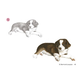 Draw 30: Dogs dans le groupe Loisirs créatifs / Livres / Livres d'instruction chez Pen Store (137213)