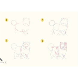 Draw 30: Dogs dans le groupe Loisirs créatifs / Livres / Livres d'instruction chez Pen Store (137213)