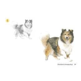 Draw 30: Dogs dans le groupe Loisirs créatifs / Livres / Livres d'instruction chez Pen Store (137213)