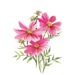 Draw 30: Flowers dans le groupe Loisirs créatifs / Livres / Livres d'instruction chez Pen Store (137215)