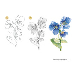 Draw 30: Flowers dans le groupe Loisirs créatifs / Livres / Livres d'instruction chez Pen Store (137215)