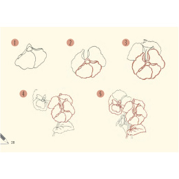 Draw 30: Flowers dans le groupe Loisirs créatifs / Livres / Livres d'instruction chez Pen Store (137215)