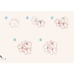 Draw 30: Flowers dans le groupe Loisirs créatifs / Livres / Livres d'instruction chez Pen Store (137215)