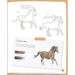 Draw in 10 Minutes: Animals dans le groupe Loisirs créatifs / Livres / Livres d'instruction chez Pen Store (137218)