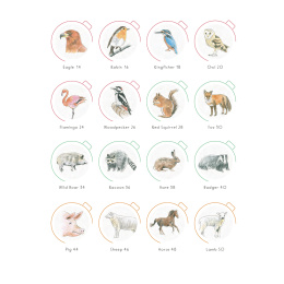 Draw in 10 Minutes: Animals dans le groupe Loisirs créatifs / Livres / Livres d'instruction chez Pen Store (137218)