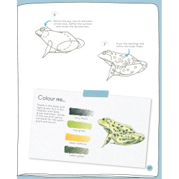 Draw in 10 Minutes: Animals dans le groupe Loisirs créatifs / Livres / Livres d'instruction chez Pen Store (137218)