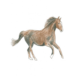 Draw in 10 Minutes: Animals dans le groupe Loisirs créatifs / Livres / Livres d'instruction chez Pen Store (137218)