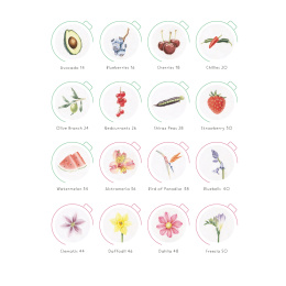Draw in 10 Minutes: Botanicals dans le groupe Loisirs créatifs / Livres / Livres d'instruction chez Pen Store (137219)