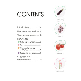 Draw in 10 Minutes: Botanicals dans le groupe Loisirs créatifs / Livres / Livres d'instruction chez Pen Store (137219)