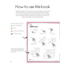 Draw in 10 Minutes: Botanicals dans le groupe Loisirs créatifs / Livres / Livres d'instruction chez Pen Store (137219)
