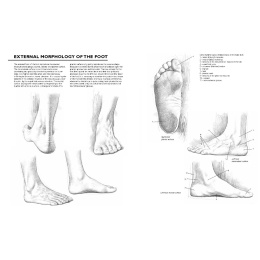 Drawing: A Complete Guide dans le groupe Loisirs créatifs / Livres / Livres pour inspiration chez Pen Store (137220)